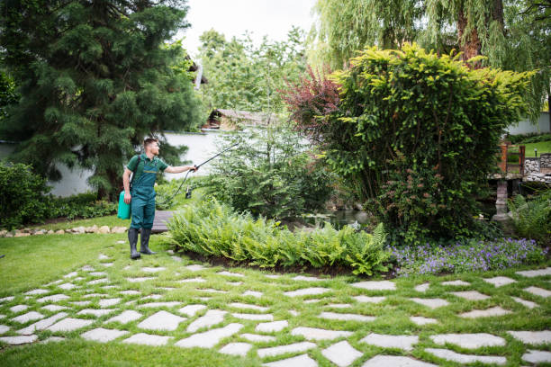 Best Local Pest Control Services  in Orangevale, CA