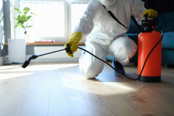 Pest Prevention Services in Orangevale, CA