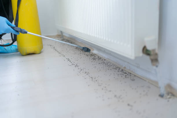 Best Residential Pest Control  in Orangevale, CA